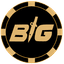 CSGOBig Coin